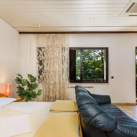 Apartment In Iv Crikvenica